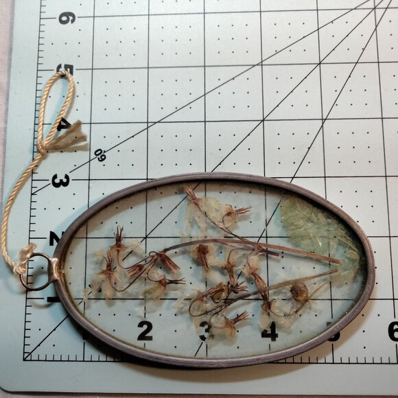 Vintage Pressed Flower Botanical Oval Glass Frame USA - Picture 4 of 4